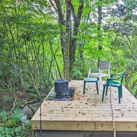 Peaceful Spruce Pine Cabin On 8 Acres With 2 Decks! المظهر الخارجي الصورة