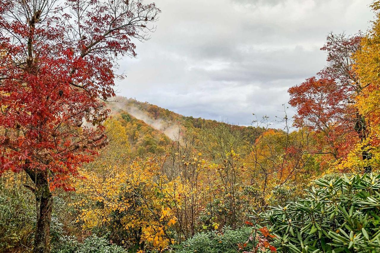 Peaceful Spruce Pine Cabin On 8 Acres With 2 Decks! المظهر الخارجي الصورة